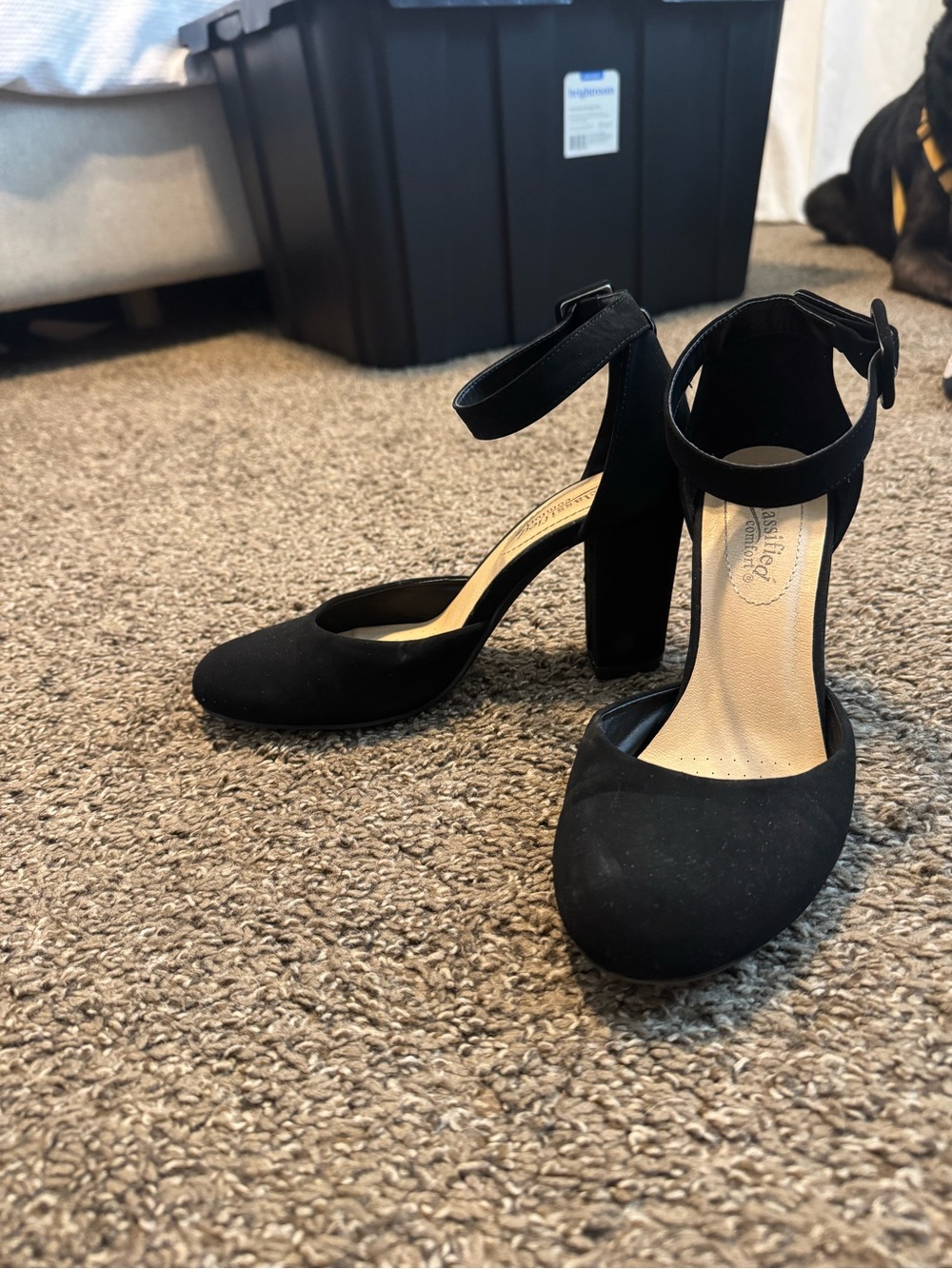 Amazon Black Ankle Strap Block Heels